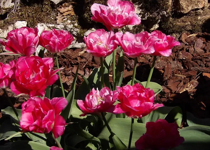 Bed & Breakfast Aux Deux Colombes Padirac